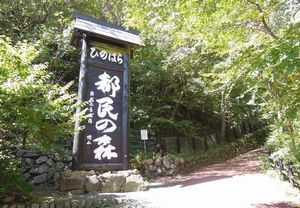 ★9/23（木・祝）★Bike Long Ride 都民の森90km★青トラ自転車部★青山トライアスロン倶楽部でバイク購入の方は参加費無料！★