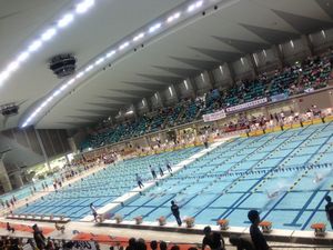 ★7/2（火）SpeedUpSwim＠国立競技場★テーマは「1.5kmを30分以内で泳ぐ！」★苦手なスイムを一気にレベルアップ！★