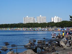 ★6/14（日）スキルアップオーシャンスイム＠八景島海の公園★キッズもあるよ！遠浅で波もないので泳ぎが苦手な子もぜひ！★海で速く泳げる技術を身に付けるチャンス！★