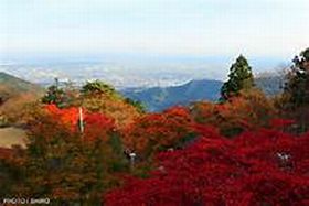 ★11月4日（月・祝）トレイルランニング「紅葉を楽しもう！＠大山」◆アフターは温泉でホッコリしましょう♪